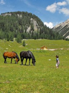 campo croce